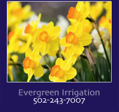 Evergreen Irrigation Louisville, La Grange, Prospect, Key City, KY